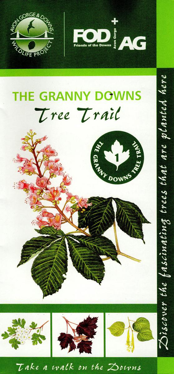Tree Trail leaflet